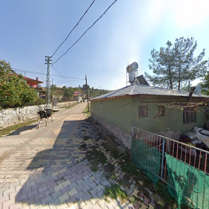 Fotoğraf 10