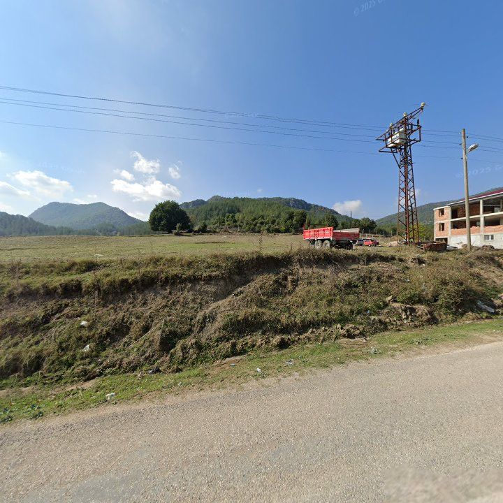Fotoğraf 6