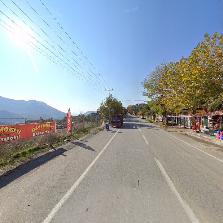 Fotoğraf 8