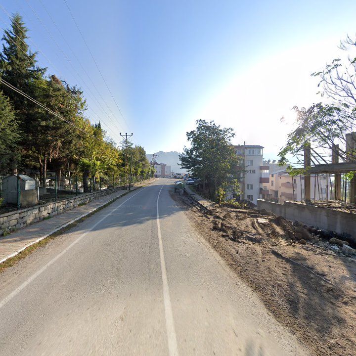 Fotoğraf 7