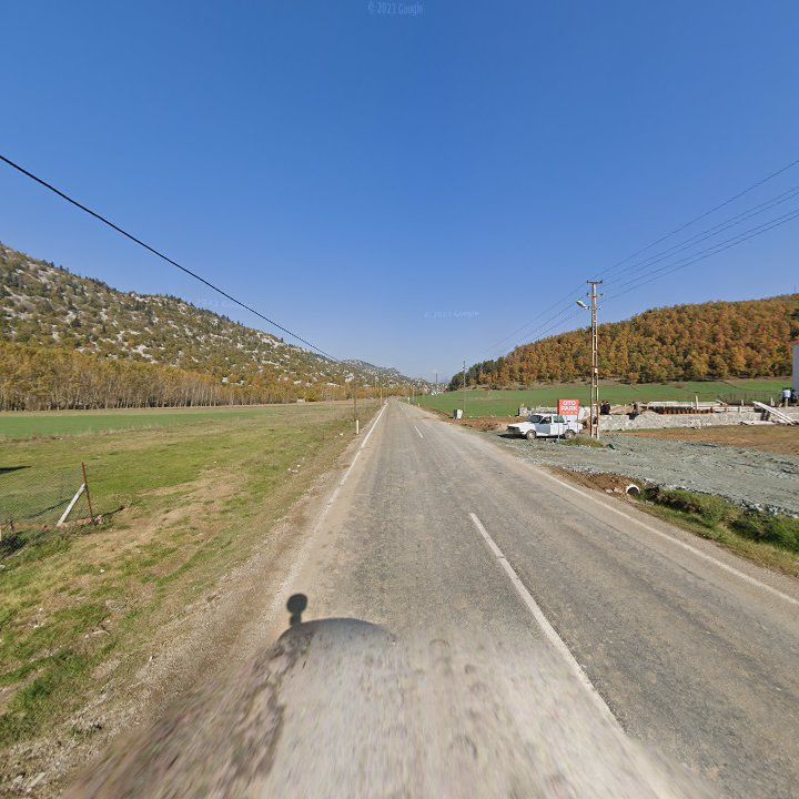 Fotoğraf 10