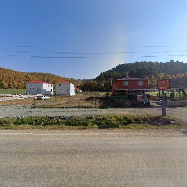 Fotoğraf 7