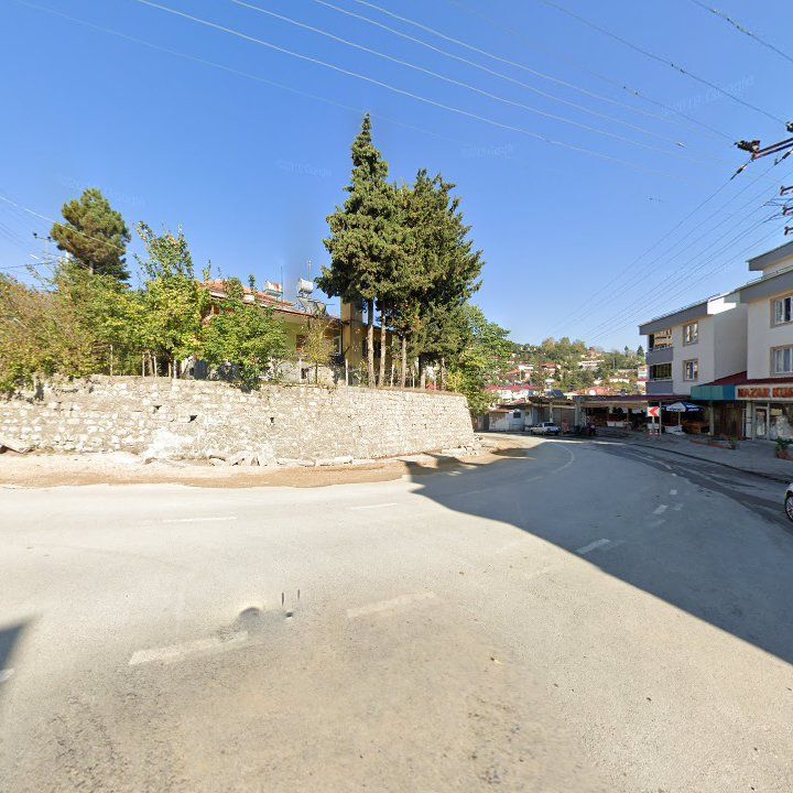 Fotoğraf 7