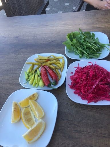 Fotoğraf 12