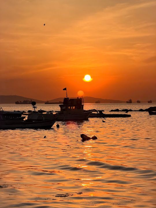 Fotoğraf 35