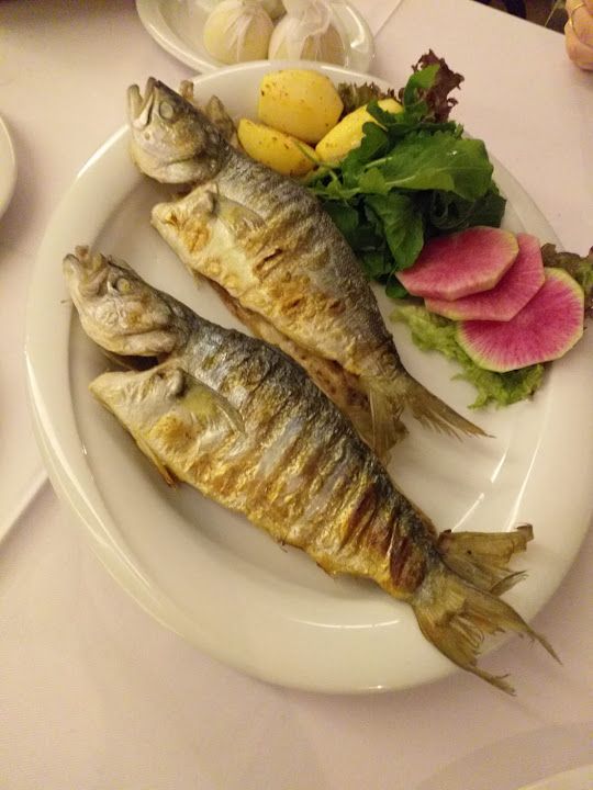 Fotoğraf 60