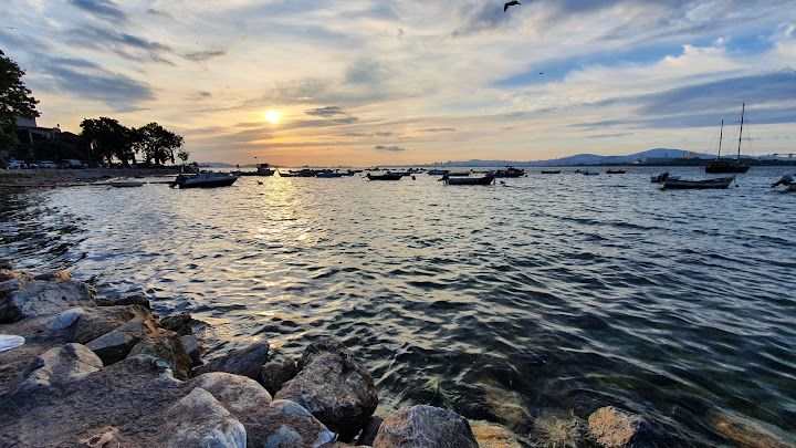 Fotoğraf 54