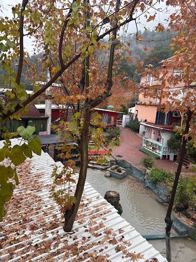 Yorum fotoğrafı 3