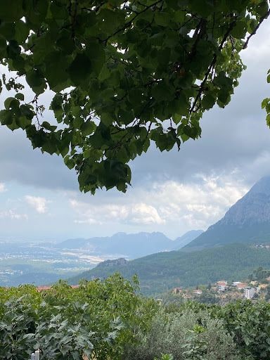 Yorum fotoğrafı 3