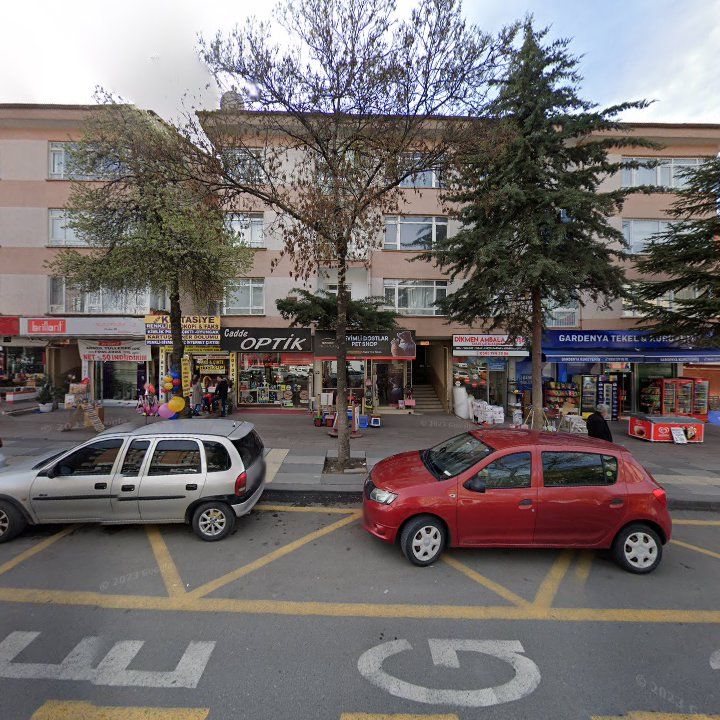 Fotoğraf 6