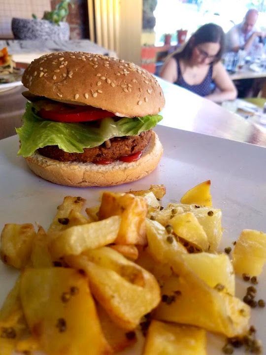 Fotoğraf 8