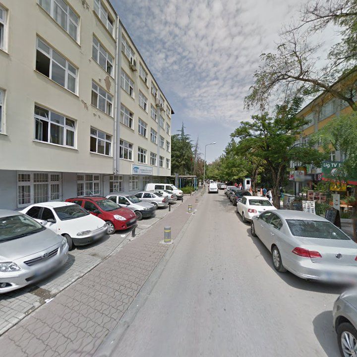 Fotoğraf 9