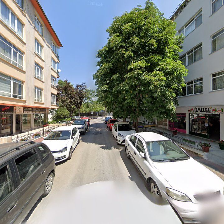 Fotoğraf 16