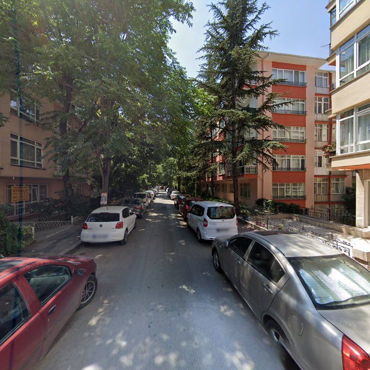 Fotoğraf 14