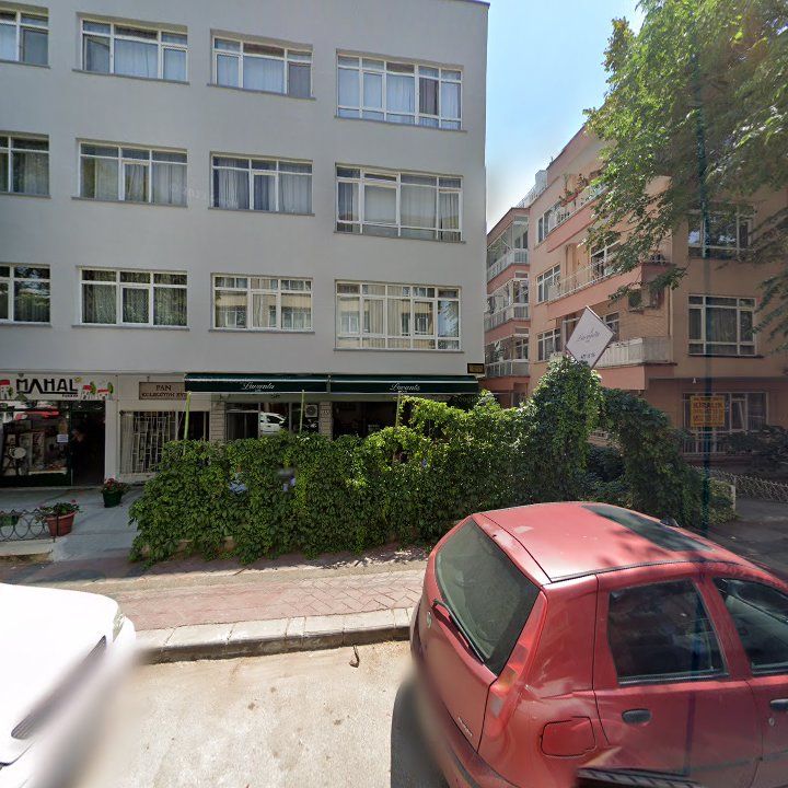 Fotoğraf 13