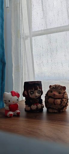 Fotoğraf 49