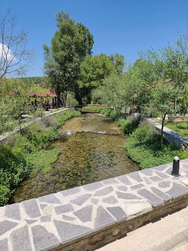 Fotoğraf 21