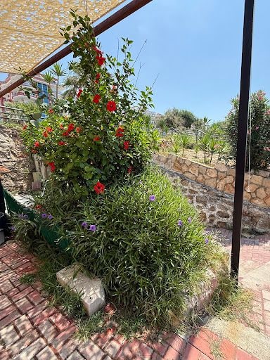 Yorum fotoğrafı 10