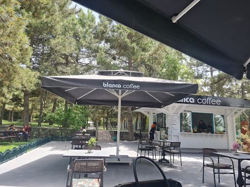 Yorum fotoğrafı 10