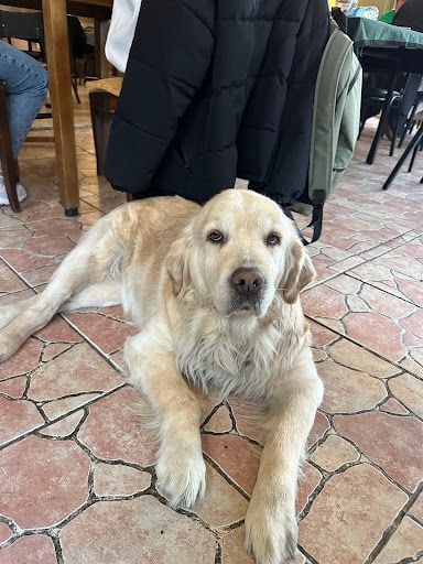 Yorum fotoğrafı 10