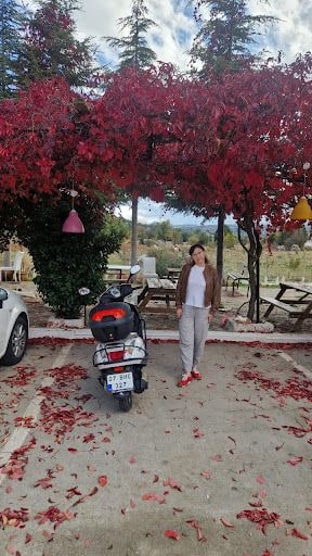 Yorum fotoğrafı 2