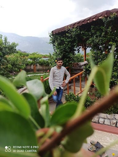 Yorum fotoğrafı 3