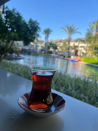 Fotoğraf 14