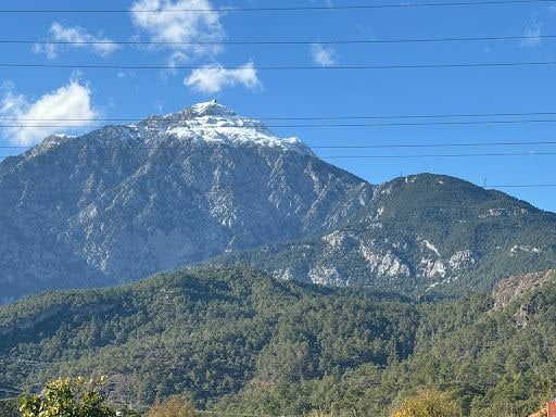 Yorum fotoğrafı 4