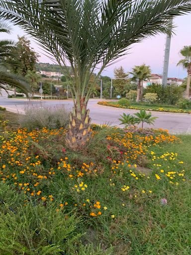 Yorum fotoğrafı 4