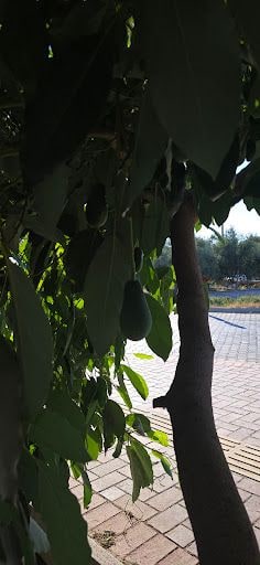 Yorum fotoğrafı 4