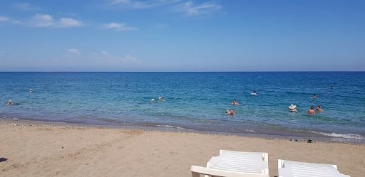 Fotoğraf 14