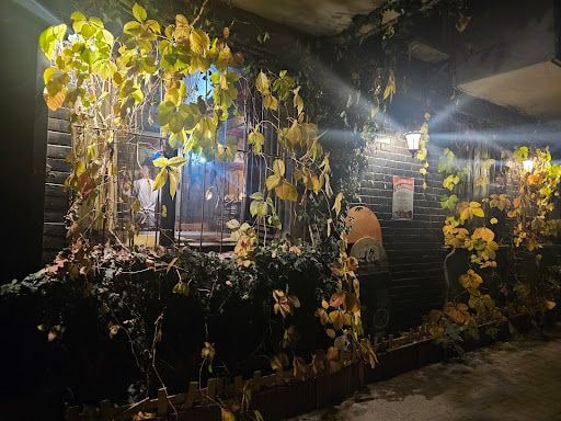 Yorum fotoğrafı 5