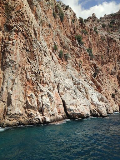 Yorum fotoğrafı 5