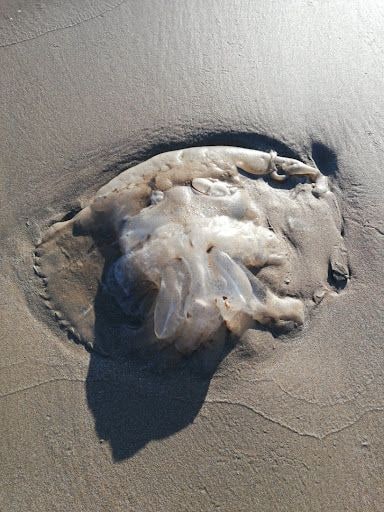 Yorum fotoğrafı 6