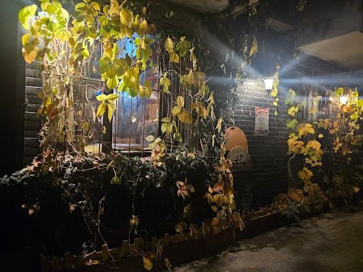 Yorum fotoğrafı 6
