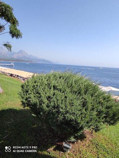 Yorum fotoğrafı 6