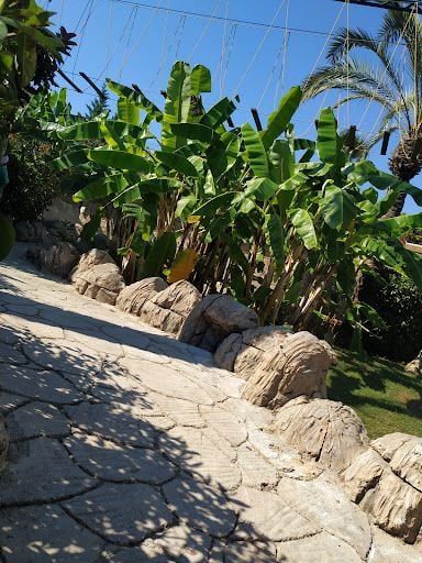 Yorum fotoğrafı 7