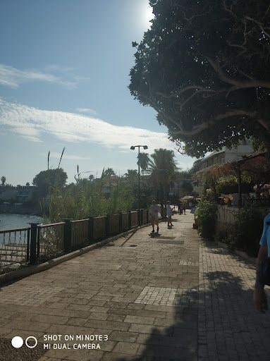 Yorum fotoğrafı 7