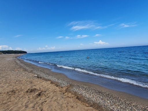Fotoğraf 17