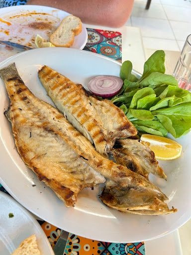 Yorum fotoğrafı 9