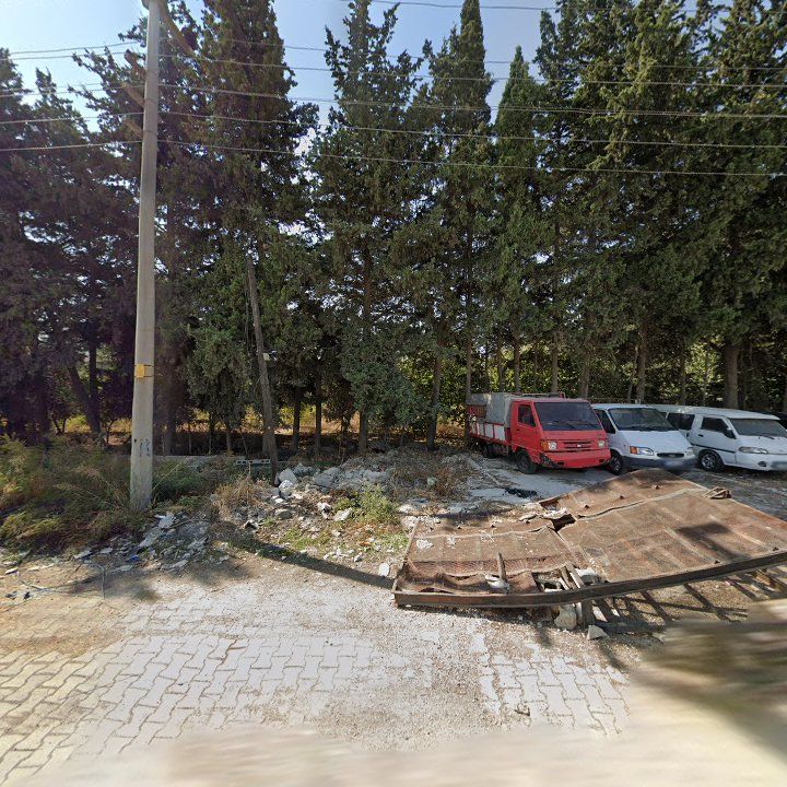 Fotoğraf 5