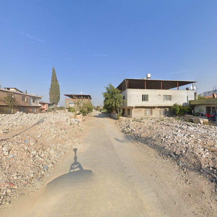 Fotoğraf 5