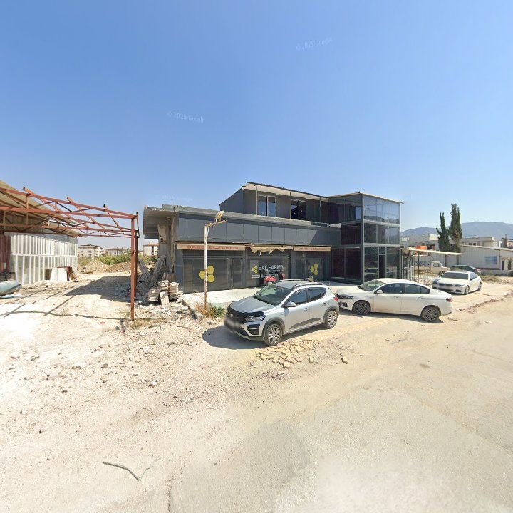 Fotoğraf 3