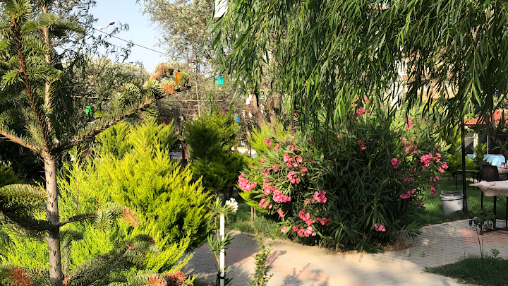 Çağdaş Cafe Aile Çay Bahçesi