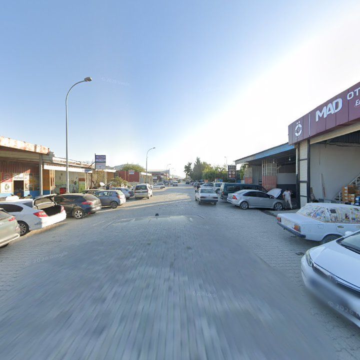 Fotoğraf 3