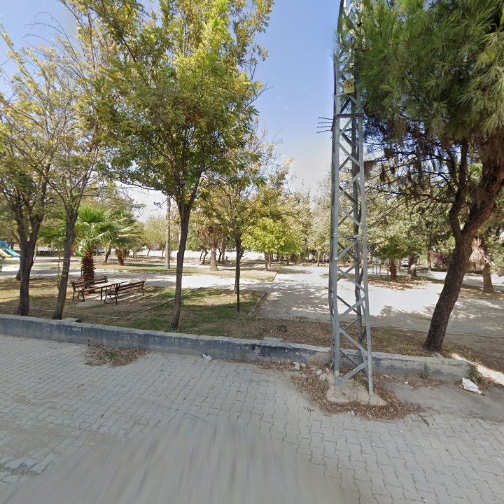 Fotoğraf 3