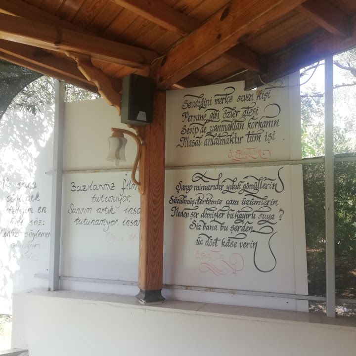 Fotoğraf 2