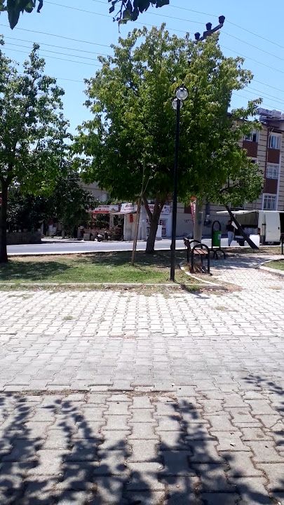 Fotoğraf 3