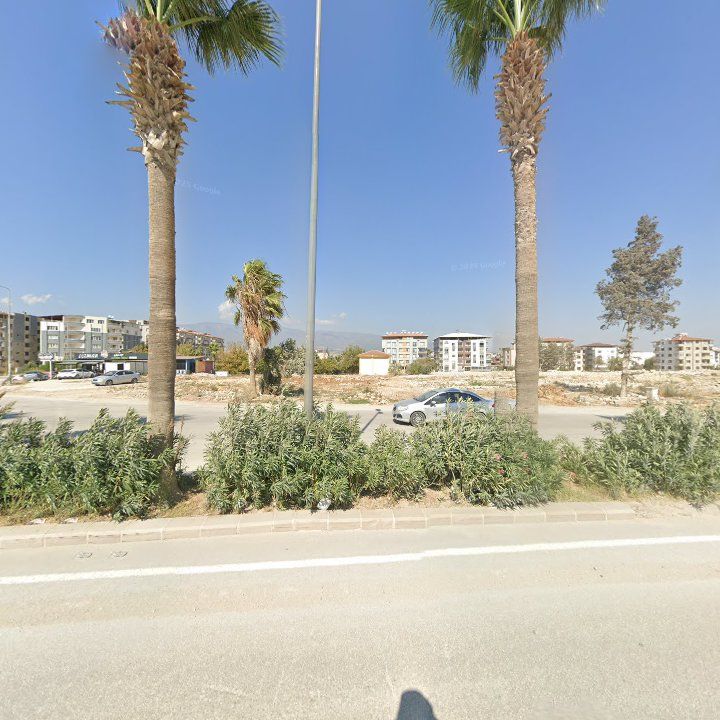 Fotoğraf 3