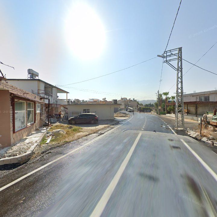 Fotoğraf 3